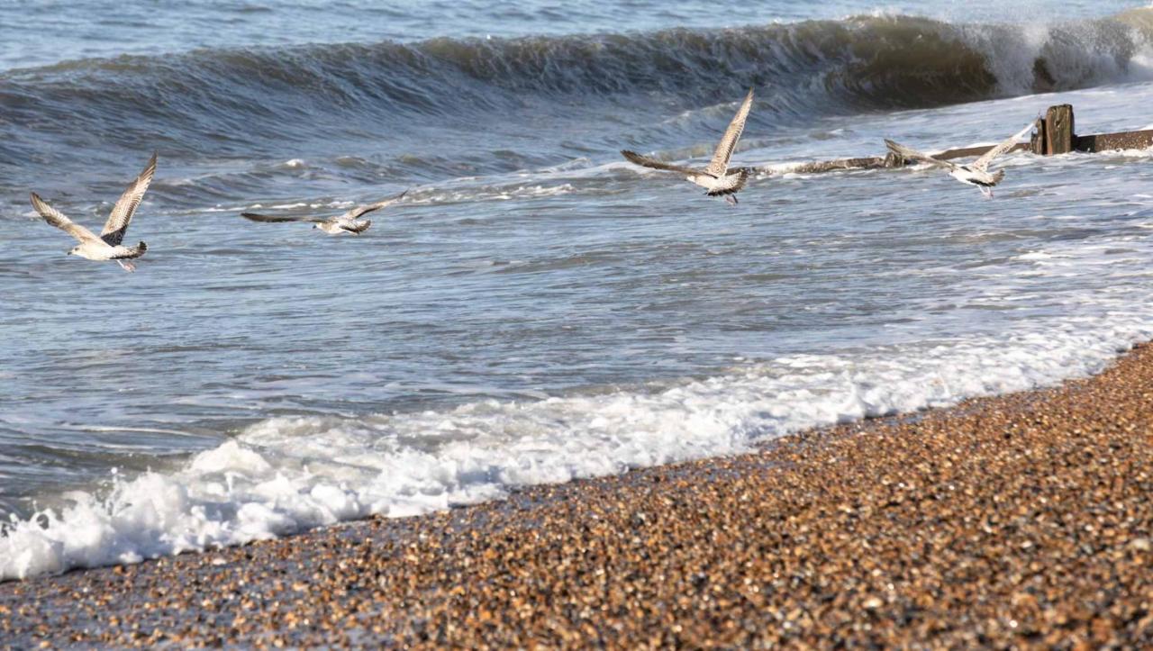 The Relais Cooden Beach And Spa Bexhill-on-Sea Екстер'єр фото
